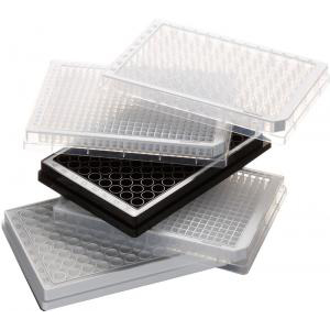 Eppendorf® Polypropylene Microplates 96 Well