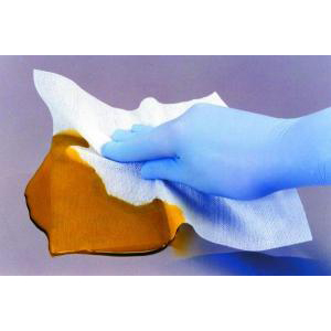 PROZORB® Non-Woven Cleanroom Wipes