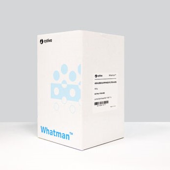 Whatman Ashless Filter Paper Clippings