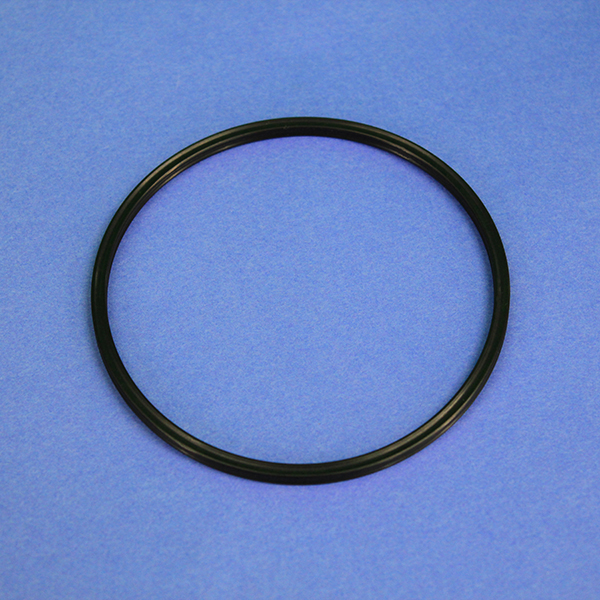 NANOpure II O-Ring Canister Gasket