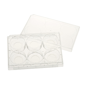 Glass Bottom Plates