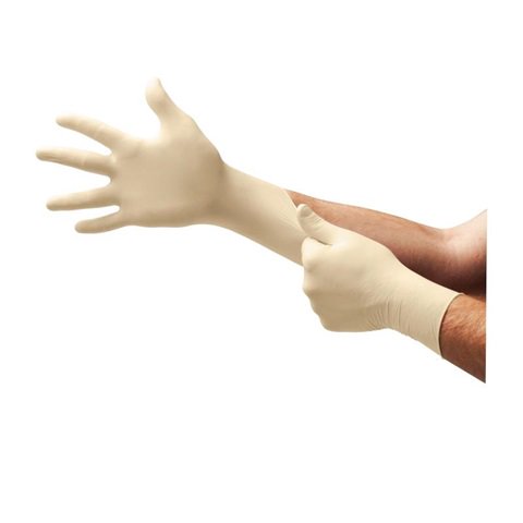 L93 A+ Powder-Free Latex Gloves w/ Aloe