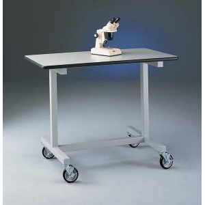 Mobile Laboratory Bench