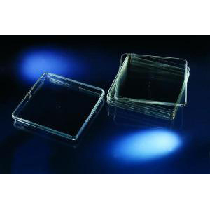 Nunc Bio-Assay Dish